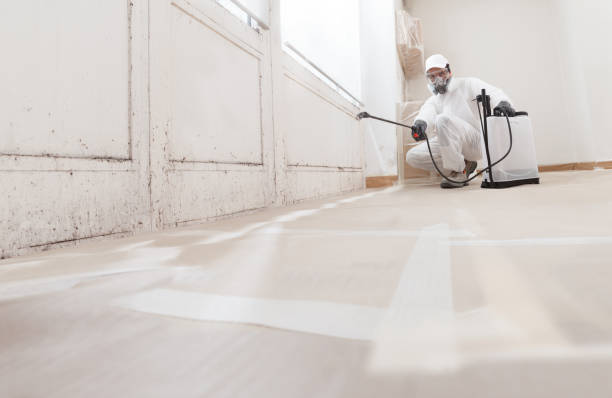 24/7 Emergency Mold Inspection experts in Melrose, MA